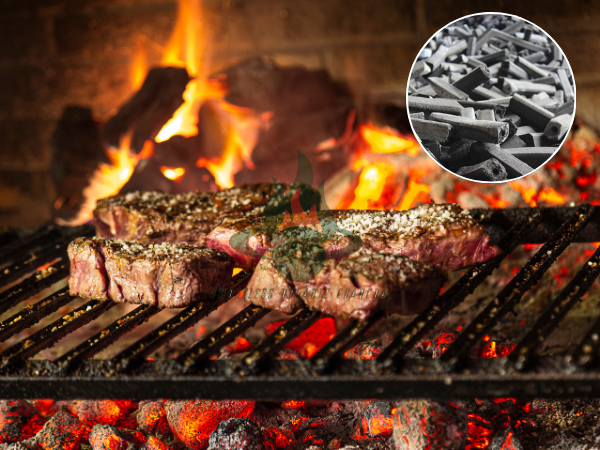 Smokeless Organic Charcoal Revolutionizing Outdoor Cooking in the US